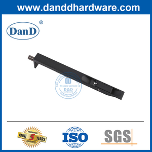 Ação da alavanca de fundição sólida parafuso de porta escondida no acabamento preto aço inoxidável-DDDB001