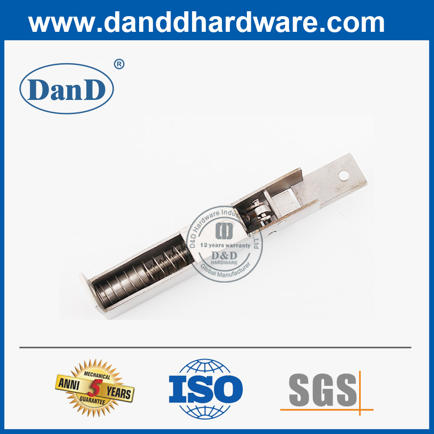 Tipo automático escondido SS304 parafuso de porta externa lateral-DDDB023